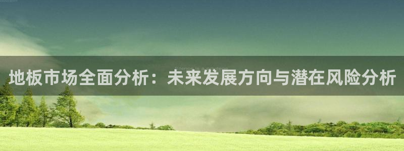 乐视体育女主持：地板市场全面分析：未来发展方向与潜在风险分析