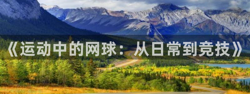 乐视体育人机大战李世石第一局：《运动中的网球：从日常到竞技》