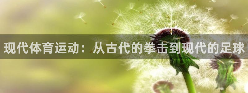 乐视体育上市和融资情况：现代体育运动：从古代的拳击到现代的足球