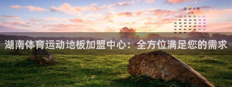 乐视体育生态中心冠名多少钱：湖南体育运动地板加盟中心：全方位满足您的需求