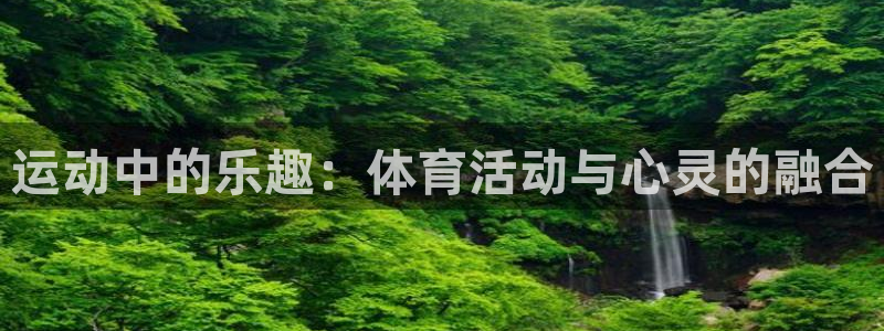 乐视体育股票：运动中的乐趣：体育活动与心灵的融合