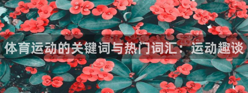 乐视体育开元体育：体育运动的关键词与热门词汇：运动趣谈